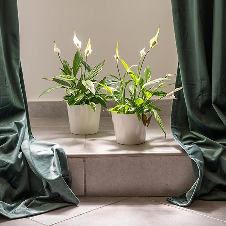 Belle Arti Home Rzym Zewnętrze zdjęcie